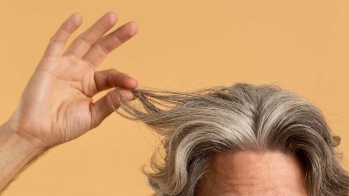 Des cheveux blancs : une défense naturelle contre le cancer, selon une étude 2 Personne avec des cheveux blancs/gris et les tenant avec le bout des doigts. La personne est vue uniquement de la tête aux épaules.