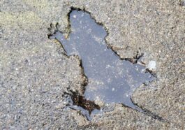 Chicago Rat Hole. Crédit : X
