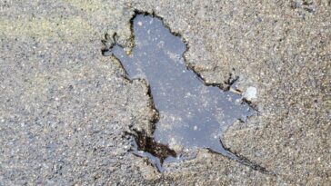Dévoilé le mystère du « trou de rat », cette étrange formation apparue aux États-Unis il y a 20 ans : une révélation inattendue 3 Chicago Rat Hole. Crédit : X