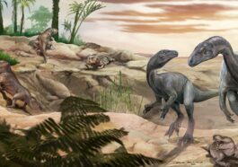 Représentation artistique de Huayracursor jaguensis, un ancien 'col long'. Crédit : Jorge Blanco