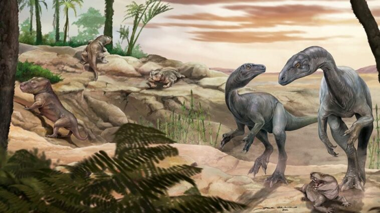 La découverte d'un fossile de l'un des dinosaures les plus anciens en Argentine : un "collo long" vieux de 230 millions d'années 1 Représentation artistique de Huayracursor jaguensis, un ancien 'col long'. Crédit : Jorge Blanco