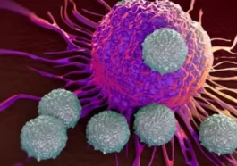 Les vaccins à ARNm contre la Covid pourraient renforcer les thérapies contre le cancer