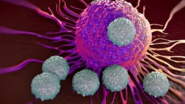 Les vaccins à ARNm contre la Covid pourraient renforcer les thérapies contre le cancer