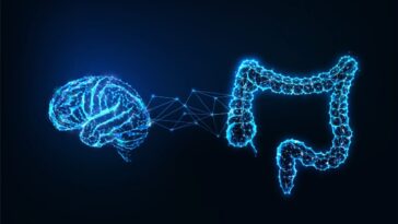"L’intestin influence la chimie du cerveau" : une nouvelle perspective sur les origines des troubles mentaux 19 Image