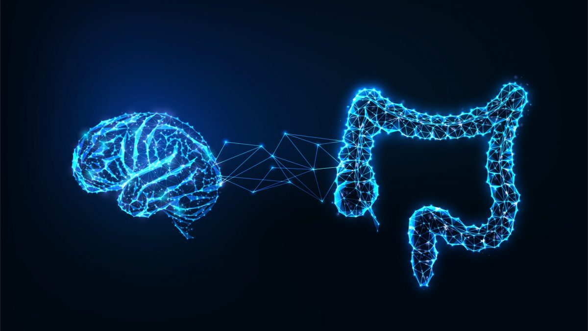 "L’intestin influence la chimie du cerveau" : une nouvelle perspective sur les origines des troubles mentaux 2 Image