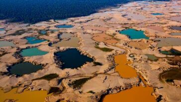 L'or noir d'Amazonie : que se passe-t-il dans la plus grande forêt du monde ? 4 L’exploitation illégale de l'or laisse des étendues de mares stagnantes où avant se tenait une dense et riche forêt amazonienne au Pérou / Crédit: MAAP