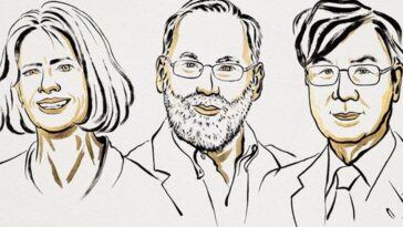 Nobel de Médecine 2025 à Brunkow, Ramsdell et Sakaguchi pour leurs avancées sur la tolérance immunitaire 16 Mary E. Brunkow, Fred Ramsdell et Shimon Sakaguchi, lauréats du Nobel de Médecine 2025