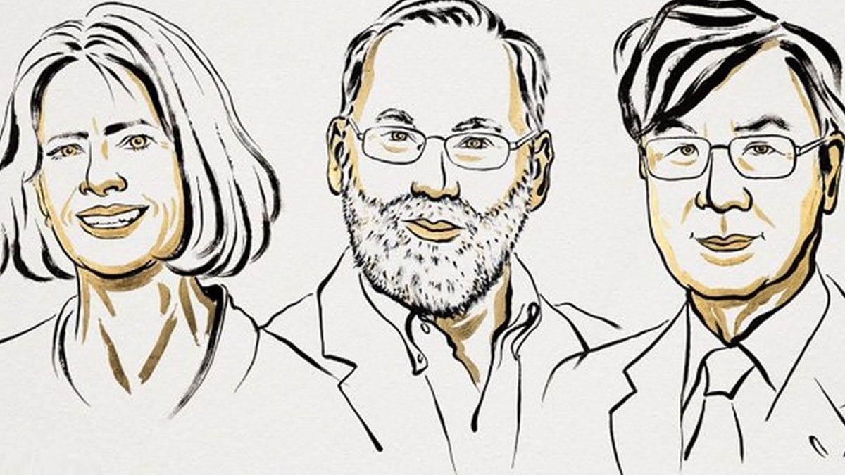 Nobel de Médecine 2025 à Brunkow, Ramsdell et Sakaguchi pour leurs avancées sur la tolérance immunitaire 2 Mary E. Brunkow, Fred Ramsdell et Shimon Sakaguchi, lauréats du Nobel de Médecine 2025