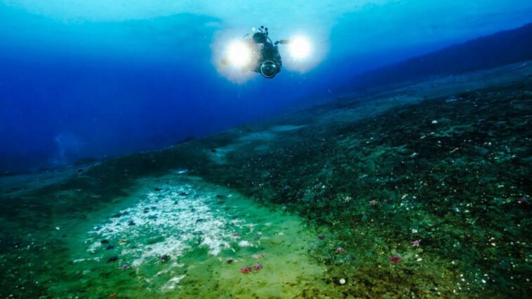Nouvelles découvertes de fuites de méthane dans les fonds marins : "Le changement se déroule sous nos yeux" 1 Image