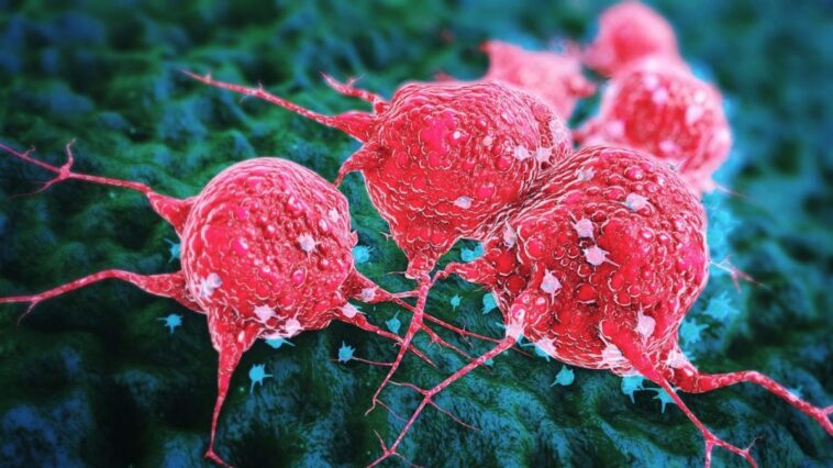 Six types de cancer en hausse chez les jeunes et les adultes : quelles sont les différences selon l'âge 1 Image