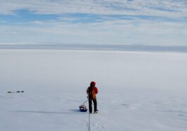 Image montrant la découverte en Antarctique