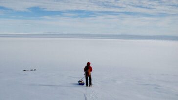 Image montrant la découverte en Antarctique