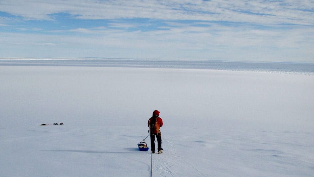 Sous les glaces de l'Antarctique se cache un ancien "géant" : la découverte du British Antarctic Survey 2 Image montrant la découverte en Antarctique
