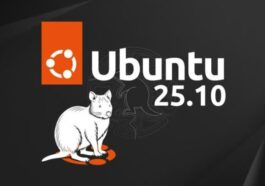 Ubuntu 25.10 « Quokka Curieuse » : le meilleur Linux pour remplacer Windows 10 ? 35 Ubuntu 25.10 « Quokka Curieuse » : le meilleur Linux pour remplacer Windows 10 ?