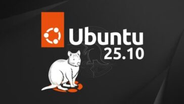 Ubuntu 25.10 « Quokka Curieuse » : le meilleur Linux pour remplacer Windows 10 ? 6 Ubuntu 25.10 « Quokka Curieuse » : le meilleur Linux pour remplacer Windows 10 ?
