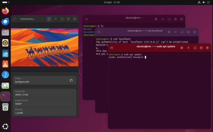 Ubuntu 25.10 « Quokka Curieuse » : le meilleur Linux pour remplacer Windows 10 ? 3 Ubuntu 25.10 "Questing Quokka": le meilleur Linux pour remplacer Windows 10?