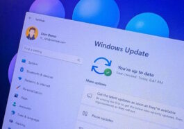 Un bug dans Windows 11 pourrait bloquer votre souris et votre clavier ! Microsoft a déjà trouvé une solution