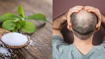 Un édulcorant courant stimule significativement la repousse des cheveux et lutte contre leur chute, selon des tests en laboratoire 12 Image