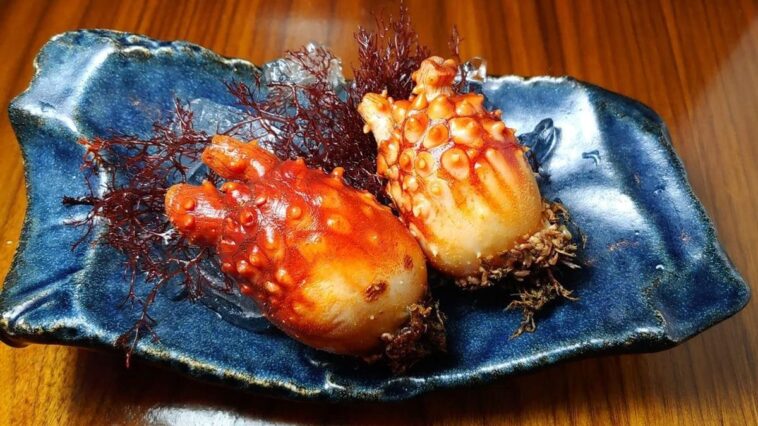 Un fruit de mer étonnant booste la mémoire et la santé cérébrale lors des tests en laboratoire 1 L’ananas de mer (Halocynthia roretzi), un ascidie comestible consommée surtout au Japon en sashimi / Photo : Reddit