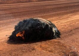 Le débris trouvé en Australie. Crédit : Police d'Australie Occidentale, District de Pilbara