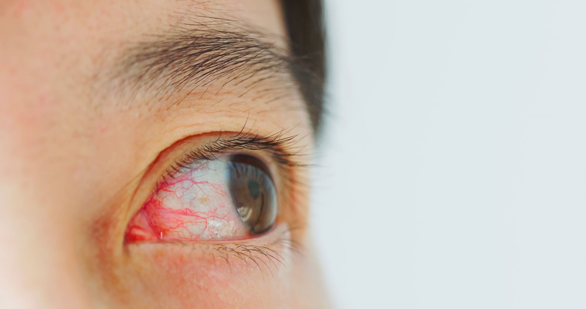 La santé de notre cœur se lit dans nos yeux : une approche innovante pour évaluer le vieillissement 3 L'œil humain est irrigué de vaisseaux sanguins