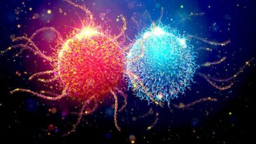 Illustration d'une cellule cancéreuse près d'une cellule saine / Photo : iStock