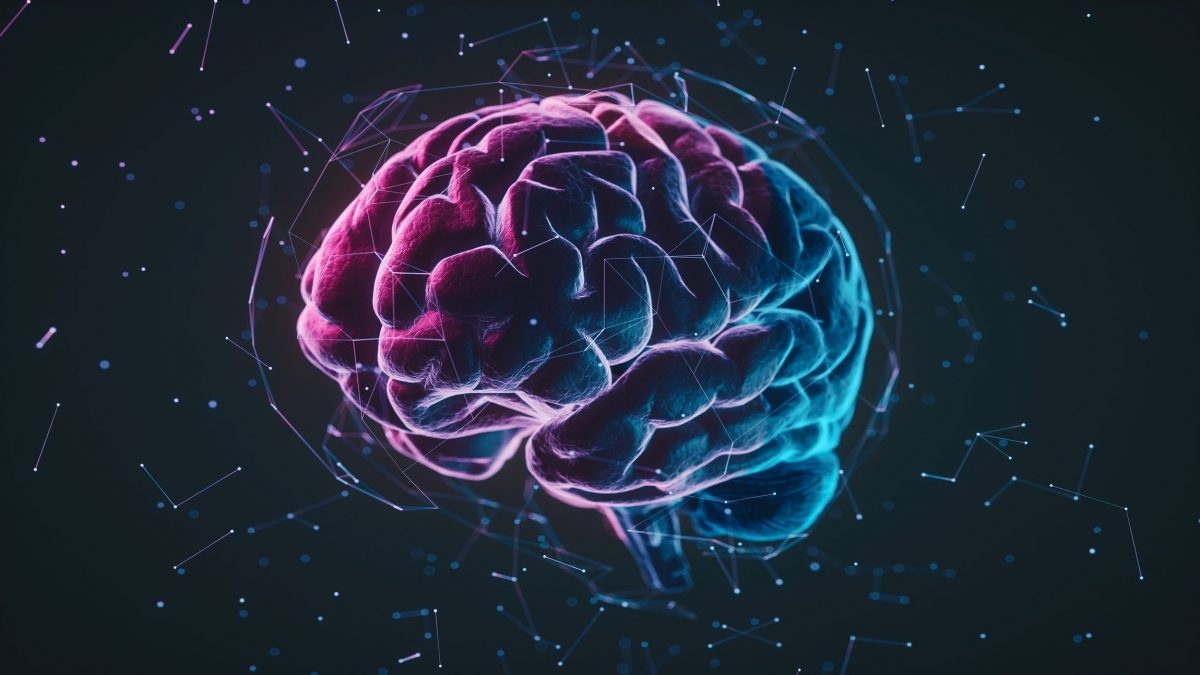 Découverte d'un nouveau mécanisme de la dépression : comment les neurones qui régulent l'humeur perdent en activité 2 Image