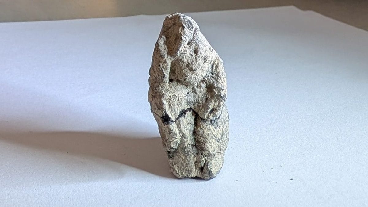 Découverte fascinante d'une statuette préhistorique d'oie s'unissant à une femme en Israël : "C'est exceptionnel" 2 La statuette préhistorique. Crédit : Hadas Goldgeier