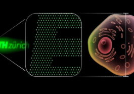 Voici les diodes en lumière nano-OLED: 100 fois plus petites qu'une cellule humaine