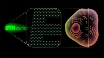 Découvrez les diodes nano-OLED : 100 fois plus petites qu'une cellule humaine 17 Voici les diodes en lumière nano-OLED: 100 fois plus petites qu'une cellule humaine