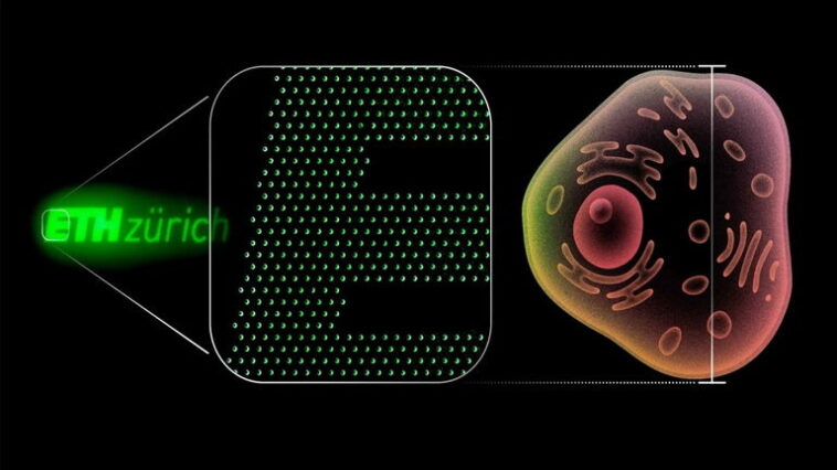 Découvrez les diodes nano-OLED : 100 fois plus petites qu'une cellule humaine 1 Voici les diodes en lumière nano-OLED: 100 fois plus petites qu'une cellule humaine