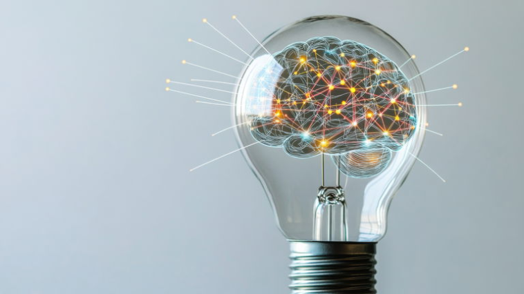 Il ne suffit plus de savoir programmer : les géants de l'IA chassent les neurocientifiques fraîchement diplômés 1 Il ne suffit plus de savoir programmer : les géants de l'IA se disputent les neuroscientifiques nouvellement diplômés