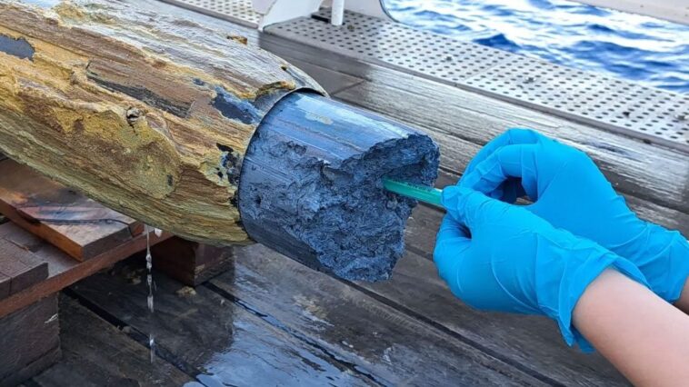 La boue bleue la plus hostile de la Terre étonne les scientifiques : des signes de vie près de la Fosse des Mariannes 1 La melba blu récoltée dans les profondeurs des volcans du bassin de subduction près de la Fosse des Mariannes, dans l'Océan Pacifique / Crédit : Marum