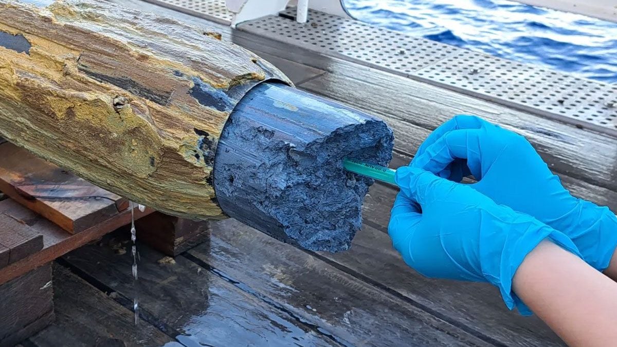 La boue bleue la plus hostile de la Terre étonne les scientifiques : des signes de vie près de la Fosse des Mariannes 2 La melba blu récoltée dans les profondeurs des volcans du bassin de subduction près de la Fosse des Mariannes, dans l'Océan Pacifique / Crédit : Marum