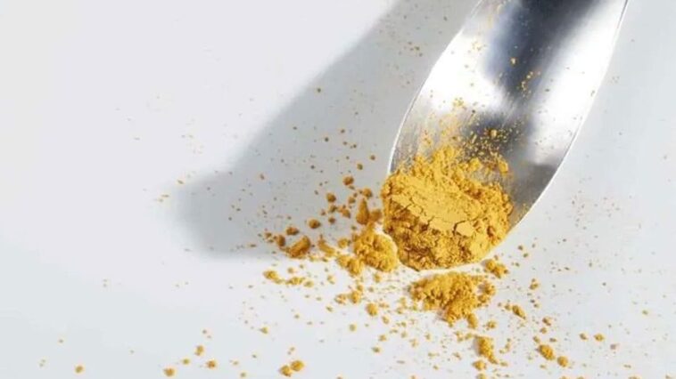 La nourriture spatiale dérivée de l'urine des astronautes sera testée sur la Station spatiale internationale 1 Un aliment riche en protéines produit à base de Solein, une protéine développée par l'entreprise finlandaise Solar Foods, pourrait devenir une source alimentaire essentielle pour les astronautes en mission prolongée sur la Lune ou sur Mars / Photo : Solar Food