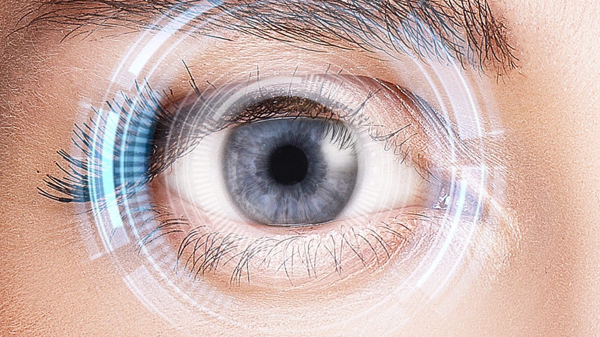 La santé de notre cœur se lit dans nos yeux : une approche innovante pour évaluer le vieillissement 2 Image