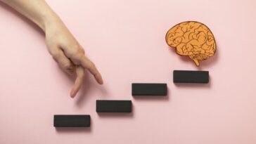 Le cerveau traverse cinq "époques" et l'âge adulte ne commence pas avant 30 ans. Dans quelle période êtes-vous ?