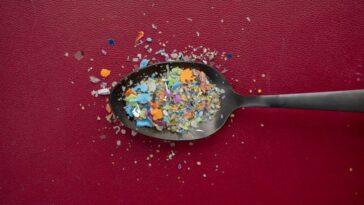 Les microplastiques pourraient favoriser l'apparition de maladies cardiovasculaires : une étude dévoile le mécanisme 7 Image