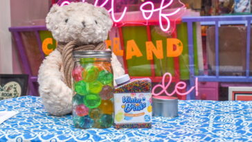OpenAI absout le nounours qui apprenait aux enfants à manier couteaux et médicaments 30 OpenAI pardonne au peluche qui enseignait aux enfants à utiliser des couteaux et des médicaments