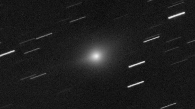 Pour Avi Loeb, 3I/ATLAS présente une autre anomalie fascinante : “Une manœuvre précise vers Jupiter à l'horizon” 1 L’oggetto interstellare 3I/ATLAS fotografato da Roma il 23 novembre. Crédit : Fabrizio Montanucci