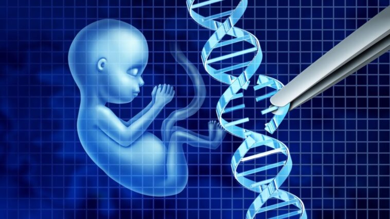 Quelle est cette intrigue autour de l'enfant génétiquement modifié sur lequel les milliardaires de la technologie travaillent en secret 1 Image