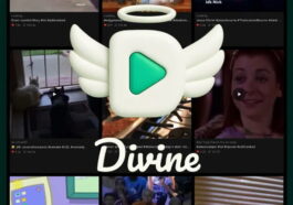 Te souviens-tu de Vine ? Le créateur de Twitter et de BlueSky a 'ressuscité' l'application de vidéos de 6 secondes, et a mis à l'écart l'IA