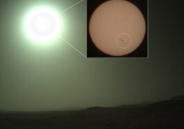 L’énorme macchia sola AR 4294 ripresa dal rover Perseverance su Marte. Ora sta ruotando verso la Terra. Crédit : JPL/NASA/Spaceweather.com