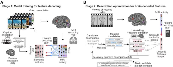 Une nouvelle technique de "légende mentale" parvient à lire les pensées humaines ! 4 Technique de 'légende mentale' testée en deux phases. Source: Tomoyasu Horikawa, Mind captioning: Evolving descriptive text of mental content from human brain activity. Sci. Adv.11, eadw1464 (2025).