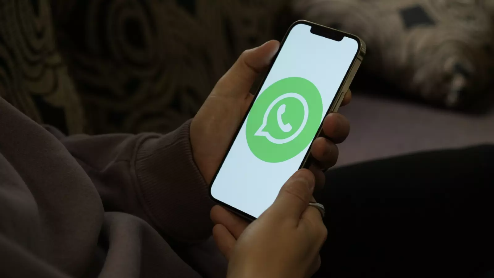 WhatsApp a dévoilé les numéros de téléphone et les photos de milliards d'utilisateurs. Info ou intox ? 2 WhatsApp sur le téléphone