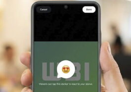 WhatsApp lance des réactions sur les états : maintenant vous pouvez répondre d'un simple touche