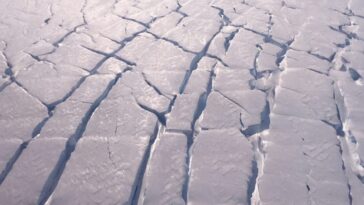 Le glacier de l'Apocalypse secoué par des centaines de séismes : des risques majeurs en cas d'effondrement 7 Fissures sur le glacier Thwaites