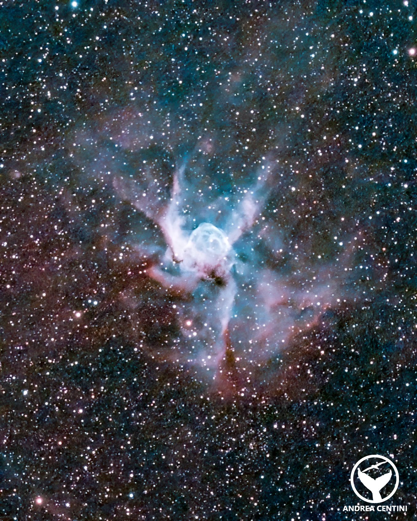 La Nebulosa Elmo di Thor (NGC 2359). Crédit : Andrea Centini