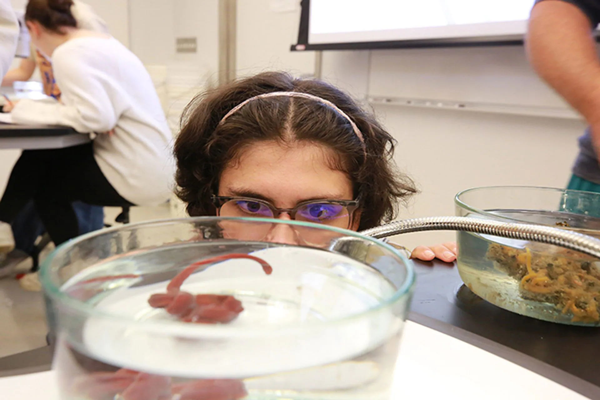 Baseodiscus the Eldest, le ver le plus ancien du monde : une découverte qui étonne les scientifiques 4 Une étudiante du William & Mary College observe de près Baseodiscus the Eldest pendant un cours de biologie / Photo : Stephen Salpukas