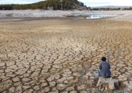 2025 : le deuxième année la plus chaude jamais enregistrée et les implications des données sur les températures mondiales 10 Image